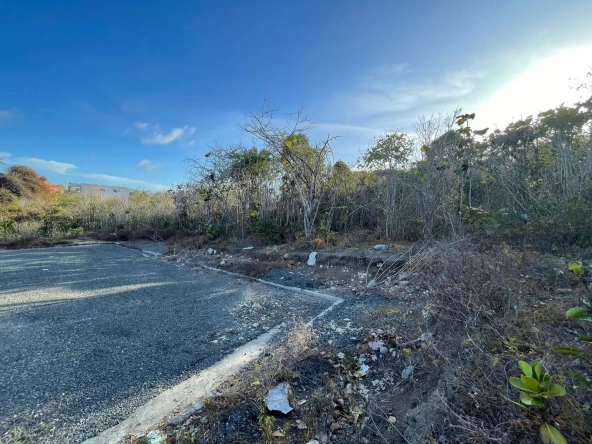 land for sale at canelles vieux fort