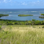 1 Acre Lot For Sale at Savannes Bay