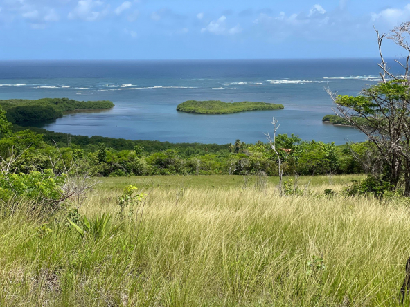 1 Acre Lot For Sale at Savannes Bay