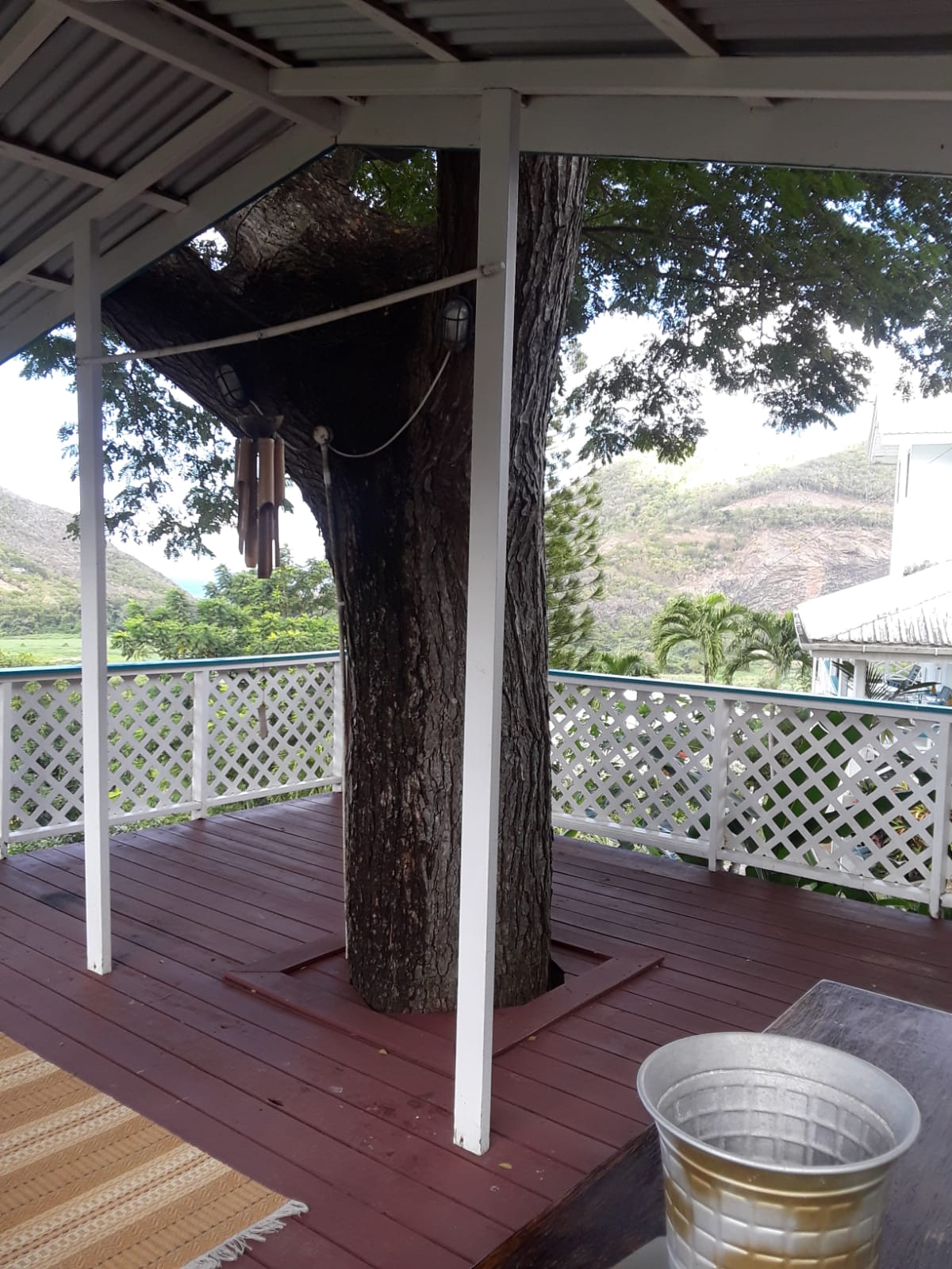 houses for sale in st lucia villa tree