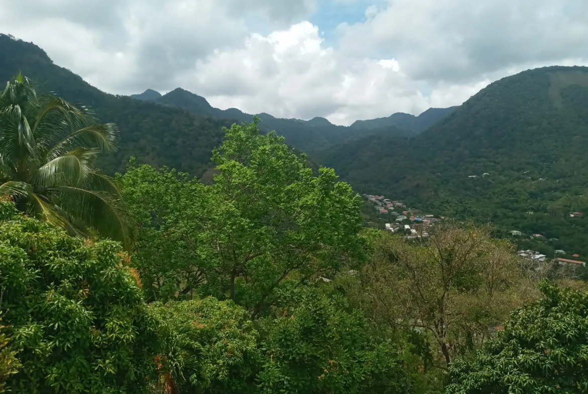 beach fron land for sale caribbean st lucia hills