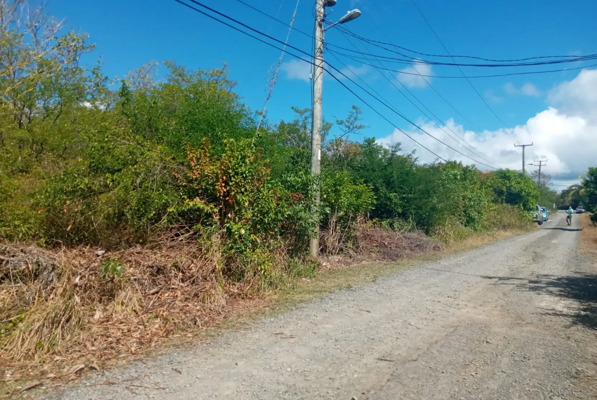 RESIDENTIAL LAND FOR SALE IN BALENBOUCHE