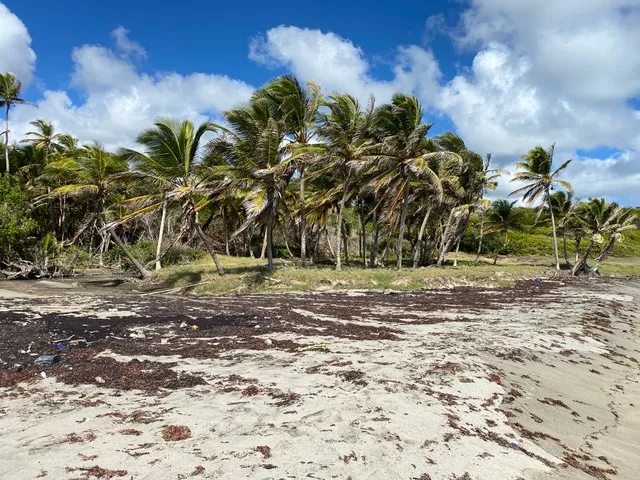 beach fron land for sale caribbean st lucia citizenship
