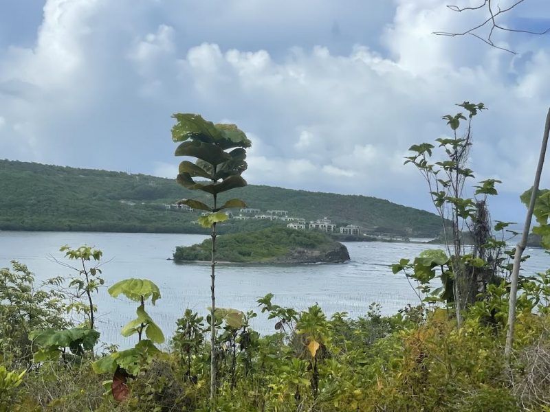 St Lucia Land for Sale Invest St. Lucia & Government Land