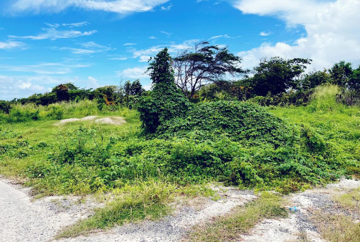 Flat Land For Sale In St Lucia