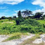 Flat Land For Sale In St Lucia