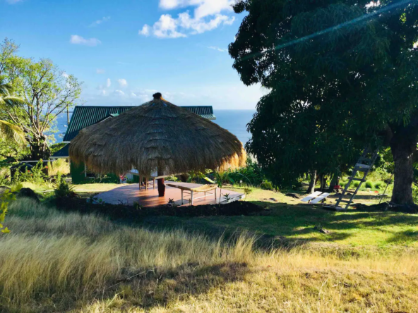 Moving to St. Lucia: A Guide to Visa and Residency Requirements