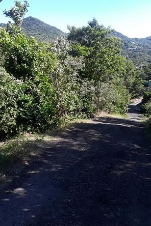 LOT FOR SALE AT LA FEUILLET MONCHY GROS ISLET