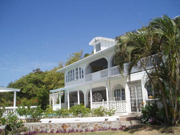 16 Saddleback