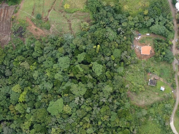 Boguis Land Parcel