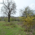 Concept Holding Lot 5