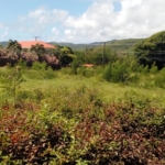 Golf Park Parcel 100