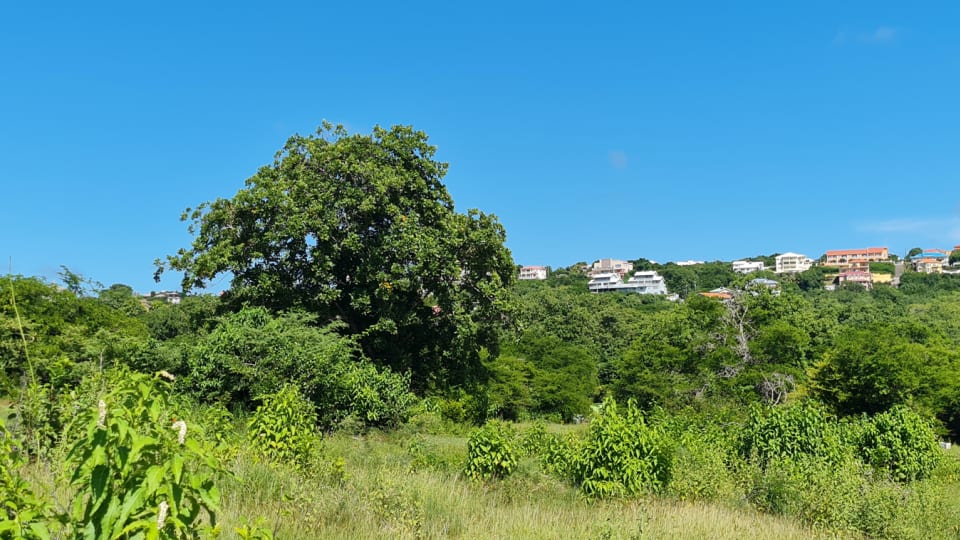 st lucia real Estate TROUYA LAND distance view