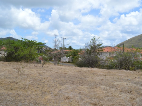 Pope's Site Land No 385