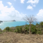 Saline Point Land #51