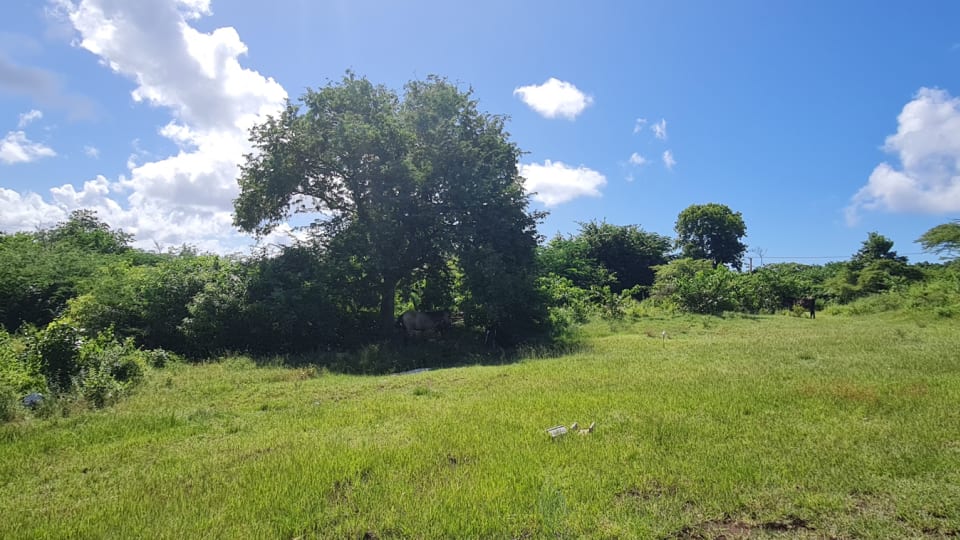 st lucia real Estate TROUYA LAND clouds