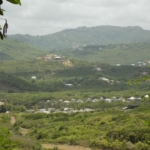 Land For Sale at June Street Cap Estate