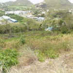 Bois D'orange Seaview