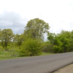 Concept Holding Lot 4B