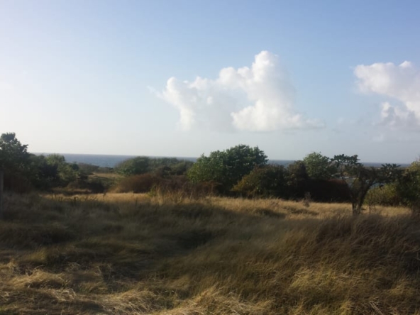 CANELLES LAND NO 96