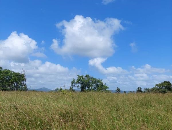 Land For Sale In Vieux Fort St Lucia Caribbean west